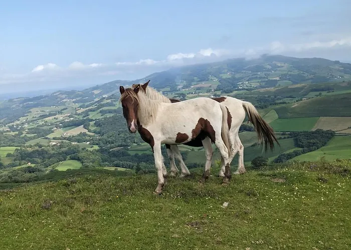 Atherbea Bayonne דירה *